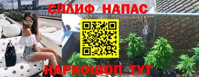 гидропоника Вязьма