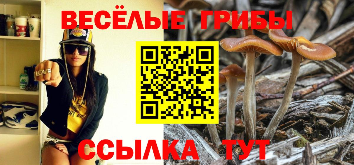 Галлюциногенные грибы Psilocybe Мегион