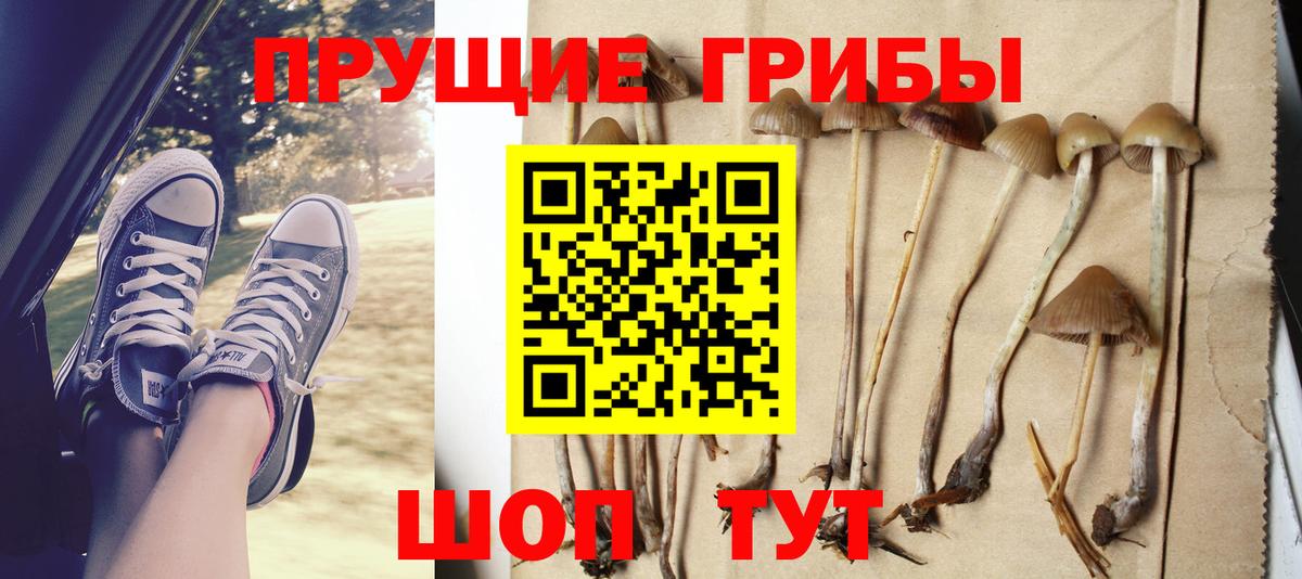 Мегион  Псилоцибиновые грибы ЛСД  Вход с VPN 